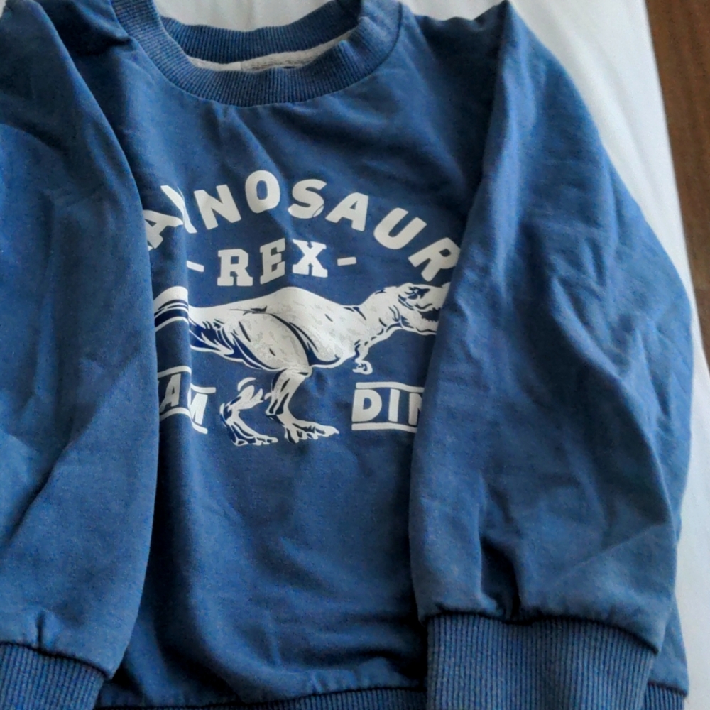 1 Dino sweatshirt 1 flannel hooded shirt 1 sweater